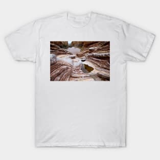 Ernst Tinaja water pools, Texas, USA (C033/6387) T-Shirt